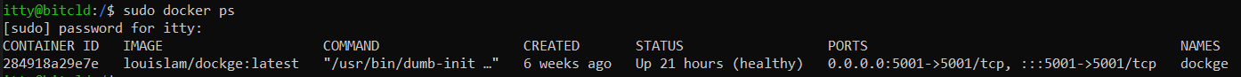 docker ps